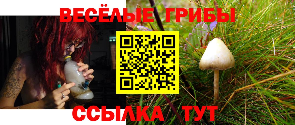 Псилоцибиновые грибы MAGIC MUSHROOMS  Вход с VPN  Петровск 