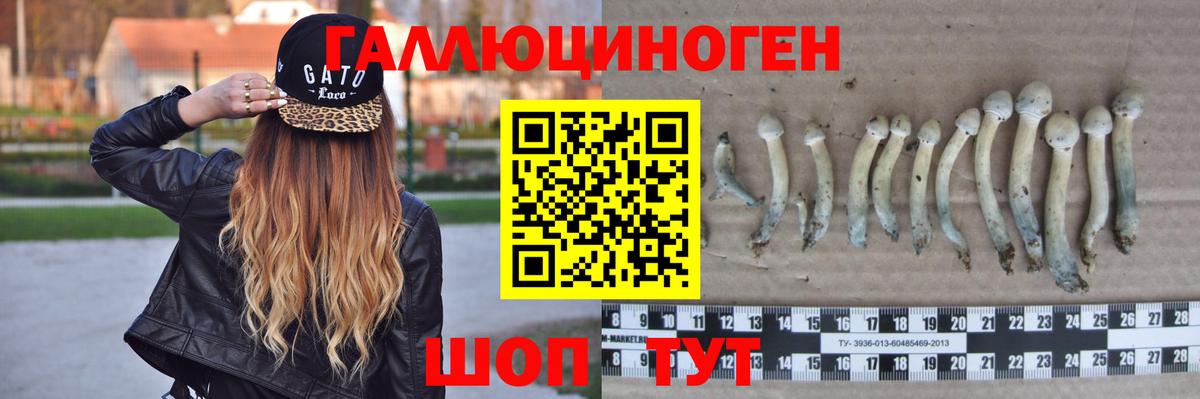Галлюциногенные грибы мухоморы Петровск